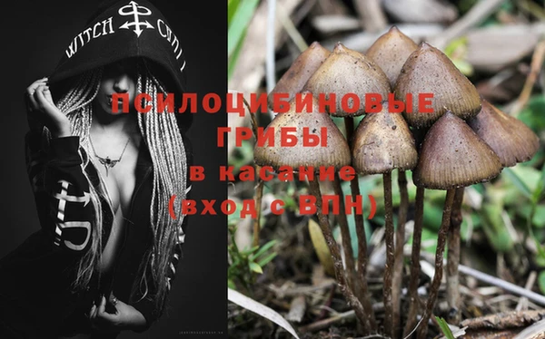 таблы Алзамай