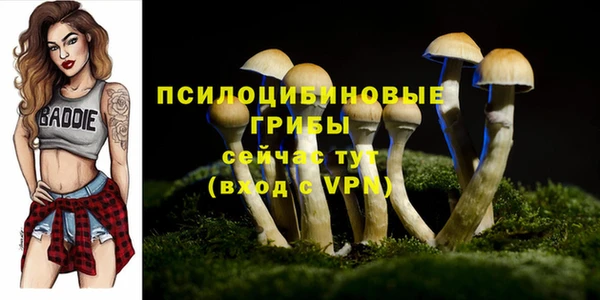 таблы Алзамай