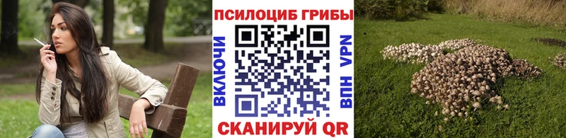 дарк нет какой сайт  Гаджиево  Галлюциногенные грибы ЛСД  где купить наркоту 