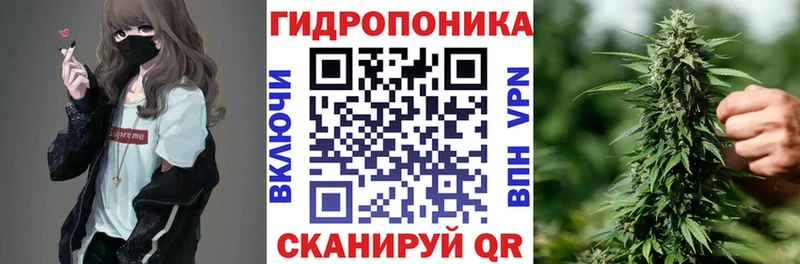 Бошки Шишки план  мега маркетплейс  Гаджиево 